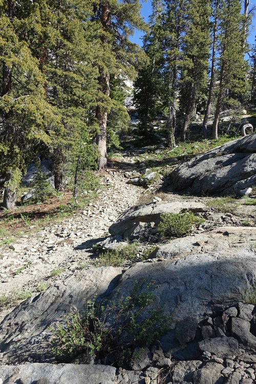 The use trail after gaining the Louse Canyoun switchbacks and just before the Rosaco notch