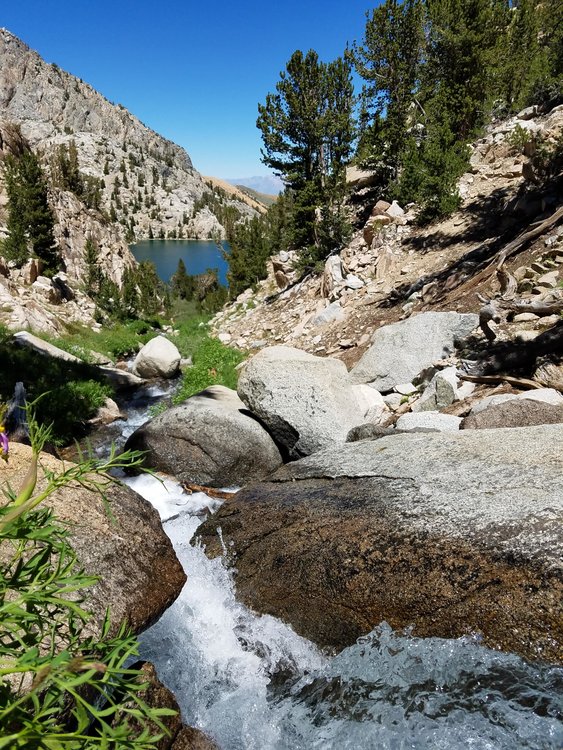 Lower Lamarck Lake on the ascent to the col trail turn-off.