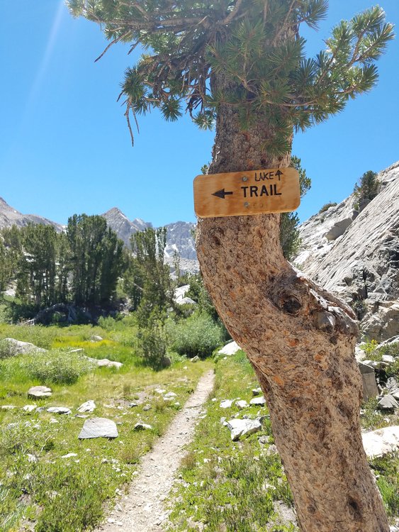 Sign marking the turn off from the Lamarck Lakes trail to the col use trail.