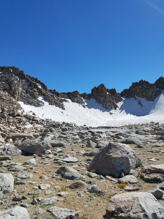 Lamarck col