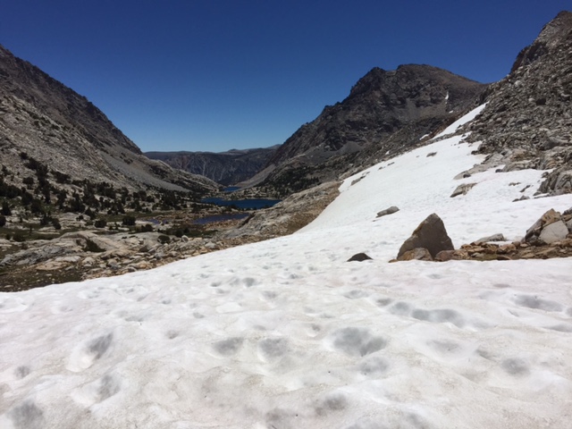 Big snow field at the east side of the pass.