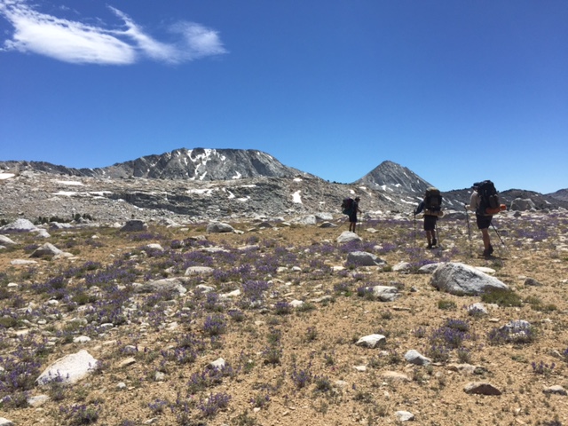 Headed back to Elba from L Lake. The purple flowers were EVERYWHERE and were super fragrant. Amazing.
