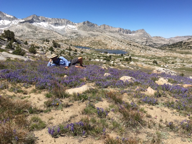 Me relaxing amongst the millions of super fragrant wildflowers (with my full pack on with no problem since its a bitchin Hyperlite Mountain Gear Windrunner 4400 pack).