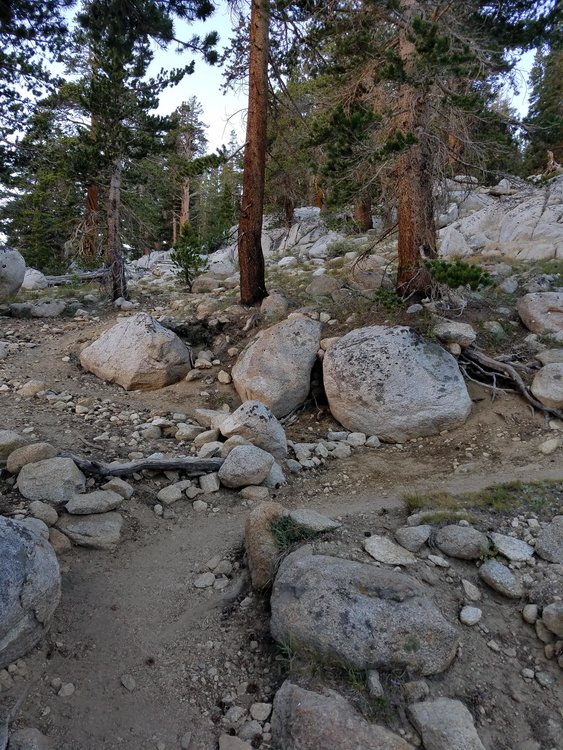 The junction of the use trail coming off Darwin Bench and the JMT. The use trail is the path that cuts up and left from the corner of the switchback- photo taken looking back at it from the JMT.