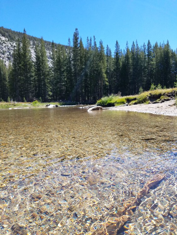 The Evolution Creek crossing in Evolution Meadow.