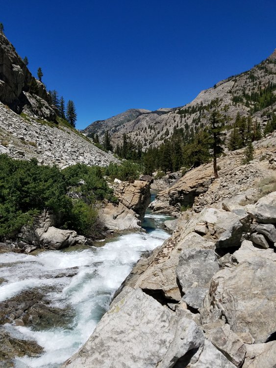 The South Fork of the San Joaquin just before the Piute Creek junction.