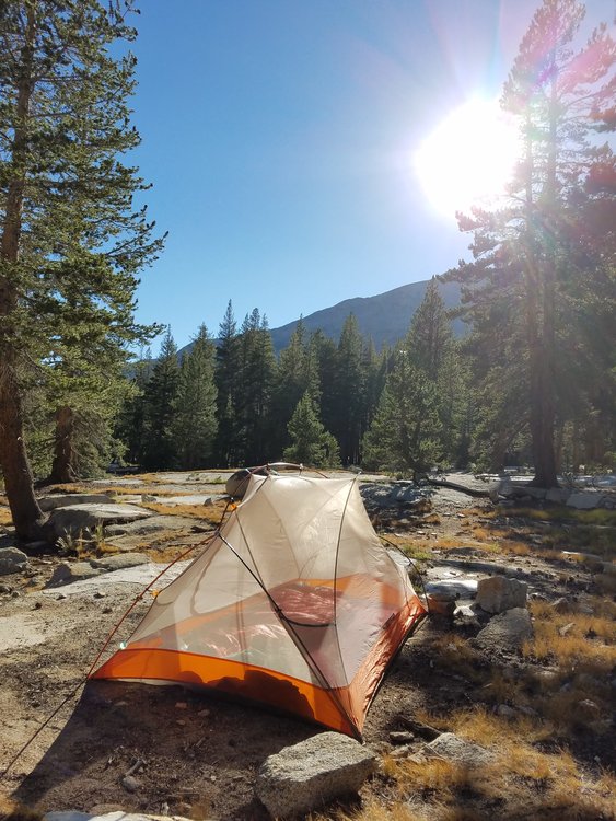 Camp in Hutchinson Meadow, Piute Creek is to the left.