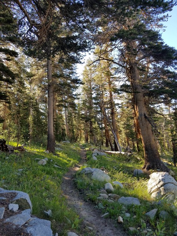 More gorgeous trail.
