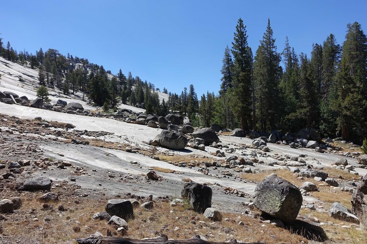 Working our way up the Illilouette Creek watershed