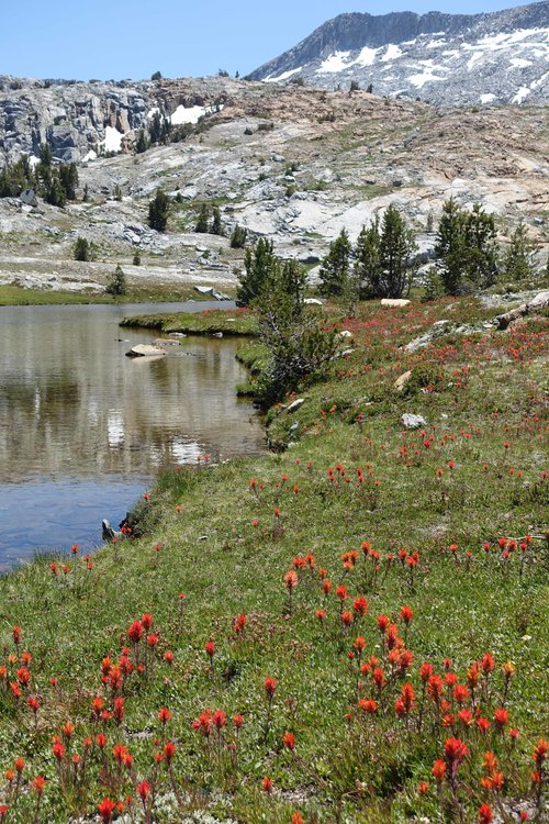 The upper plateau has its charms