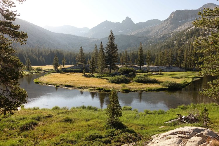 ...or morning at the meadow?