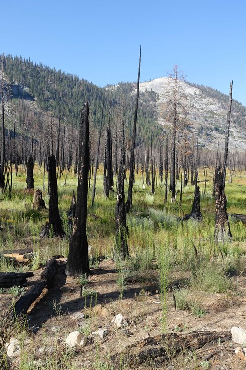 Most of Little Yosemite Valley looks like this