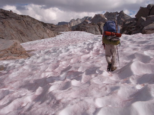 Above, going around the lake basin north of Darwin Bench