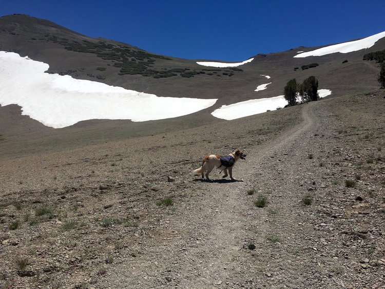 Hiking out of Leavitt Lake