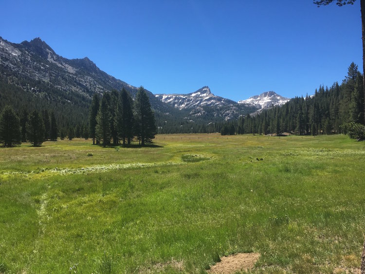 Piute Meadow