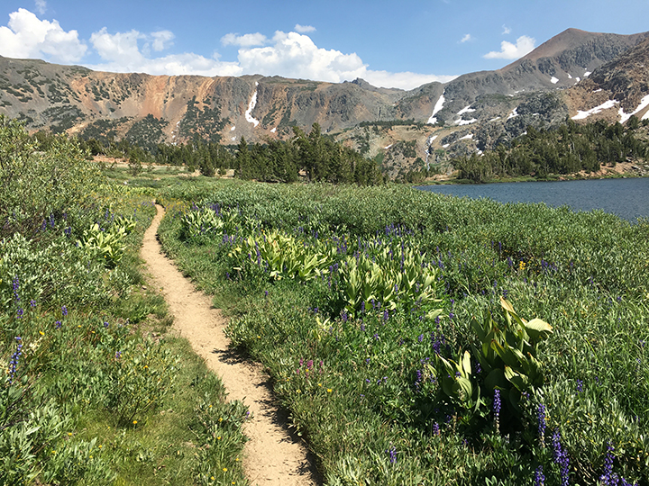 The trail by Summit Lake