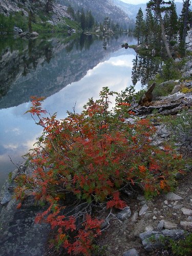 Bearup Lake