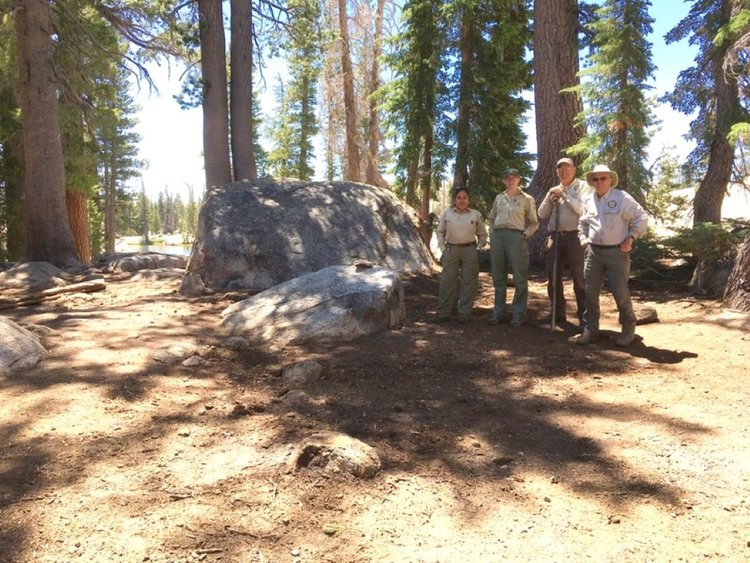 4+campsite+iceberged+&+naturalized (Medium).jpg