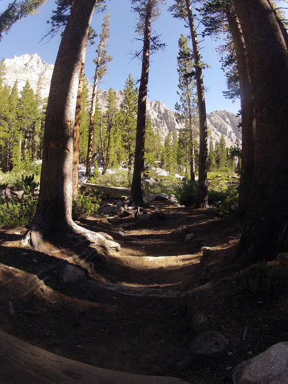 cool stretch of trail along Pine Creek.