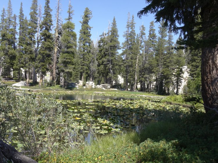 Leaving Buck Lakes, a lovely unnamed lake