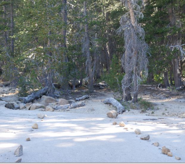 trail from pollydome.JPG