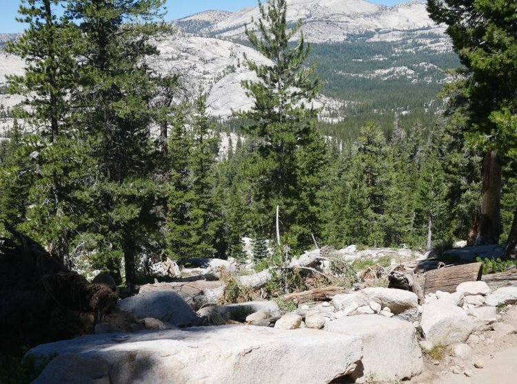 trail up to sunrise.JPG