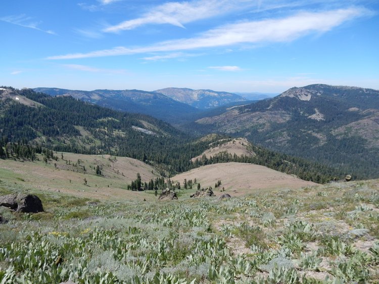 view west into Granite Chief Wilderness