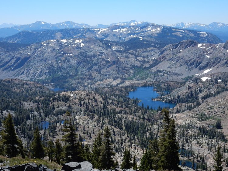 Susie Lake