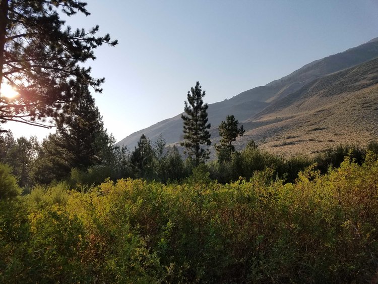Big Pine Creek Campground