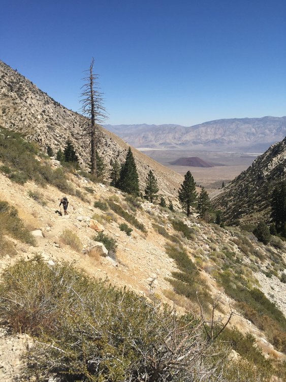 Climbing up the Taboose Trail