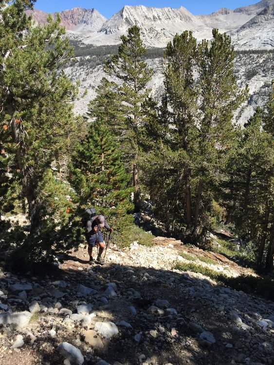 Ascending switchbacks from Kings River