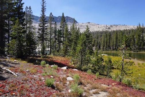 Lady Lakes shoreline