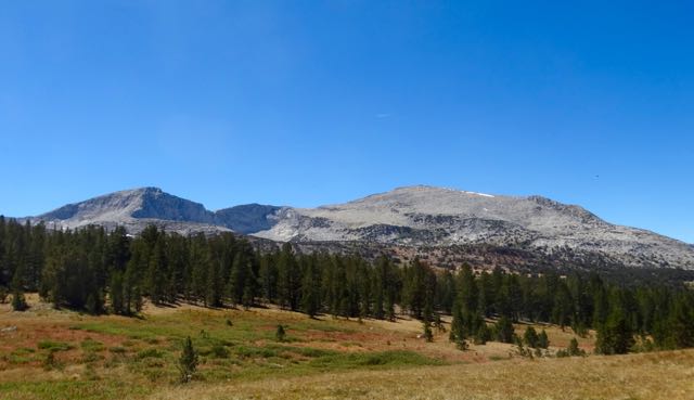 trail toward Mono Pass