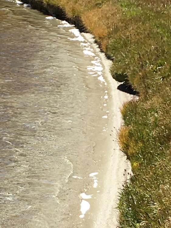 Suds in lower Blue Lake--sickening.