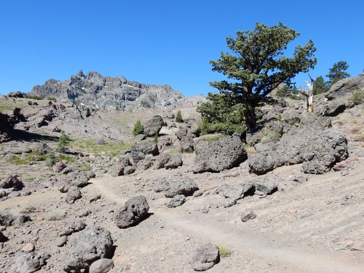 Reynolds Peak and lahar rock formations