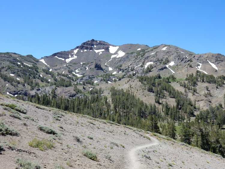 Descending to Sonora Pass