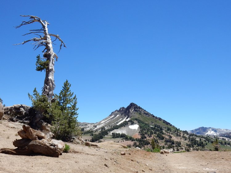 Grizzly Peak