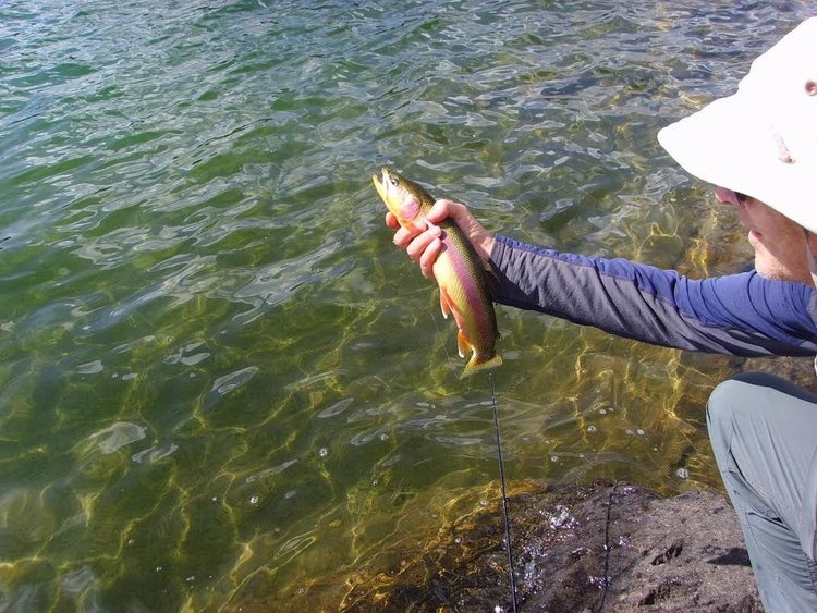 wind river trout 2 of 2.jpg