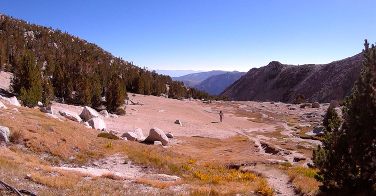 bench before lamarck col