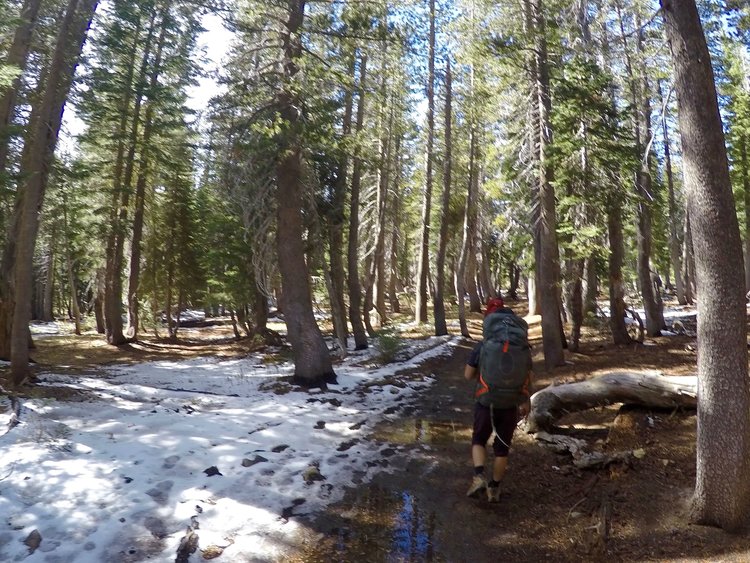 Patches of snow in the forested areas