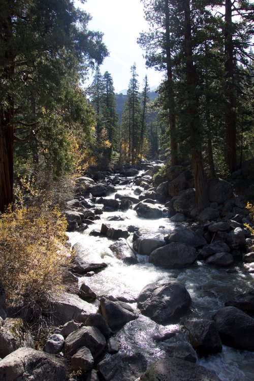 The Stanislaus River was flowing strong after recent rains.