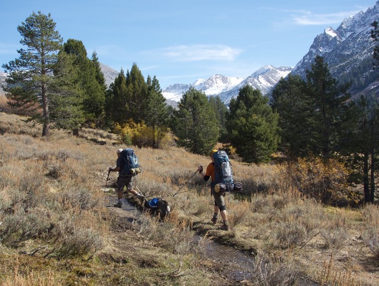 On the trail, getting closer to Kennedy lake. . .