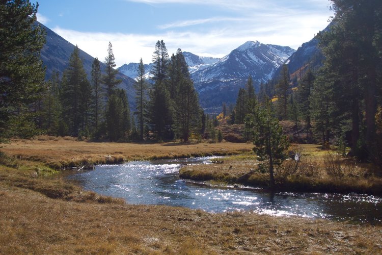 Morning Along Kennedy Creek, Part 2