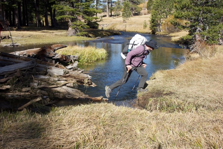 The best campsites are on the south side of Kennedy Creek, and a pile of logs can be used to cross with dry feet.