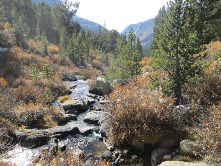 Golden Creek