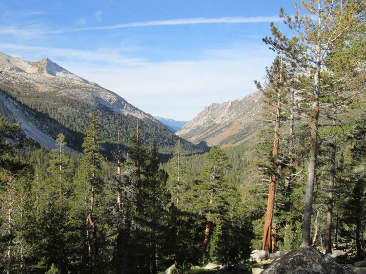 Looking Down Mono Creek Drainage Towards Quail Meadow