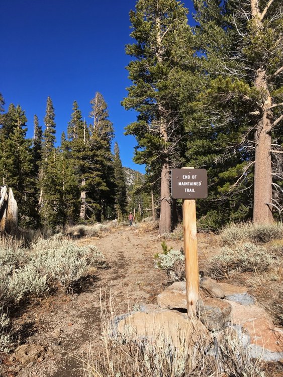 Fun happens beyond this sign :)