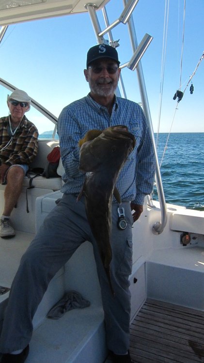 The fish