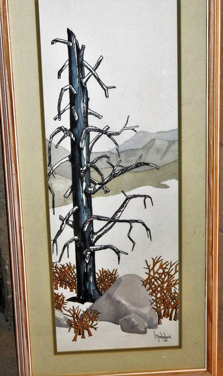 yellow snag framed.jpg