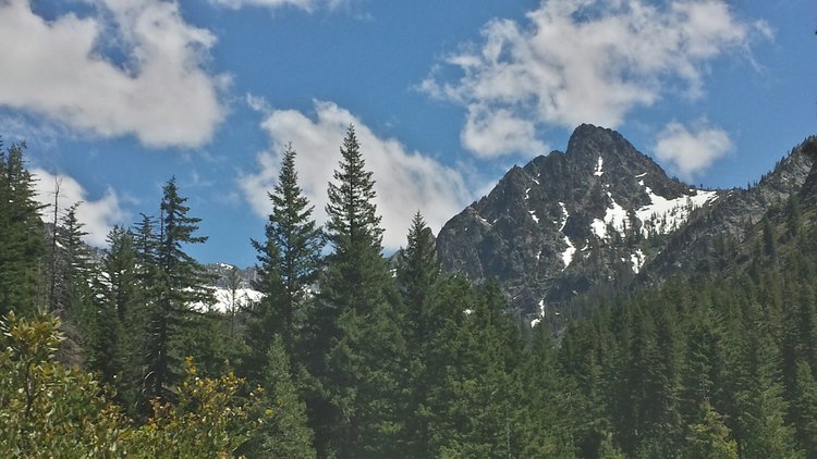 Looking up Rattlesnake Creek Canyon